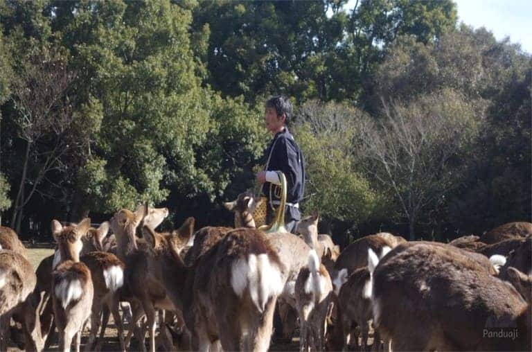 liburan ke jepang hari ketujuh