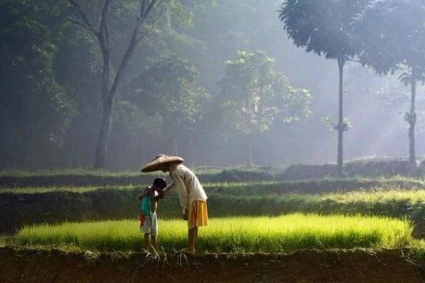 Contoh Dari Sikap Kepala Dingin Melalui Maknanya