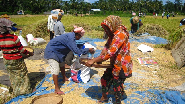 Pengaruh Kondisi Geografis Indonesia