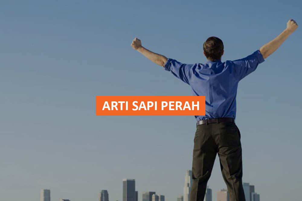 ARTI SAPI PERAH