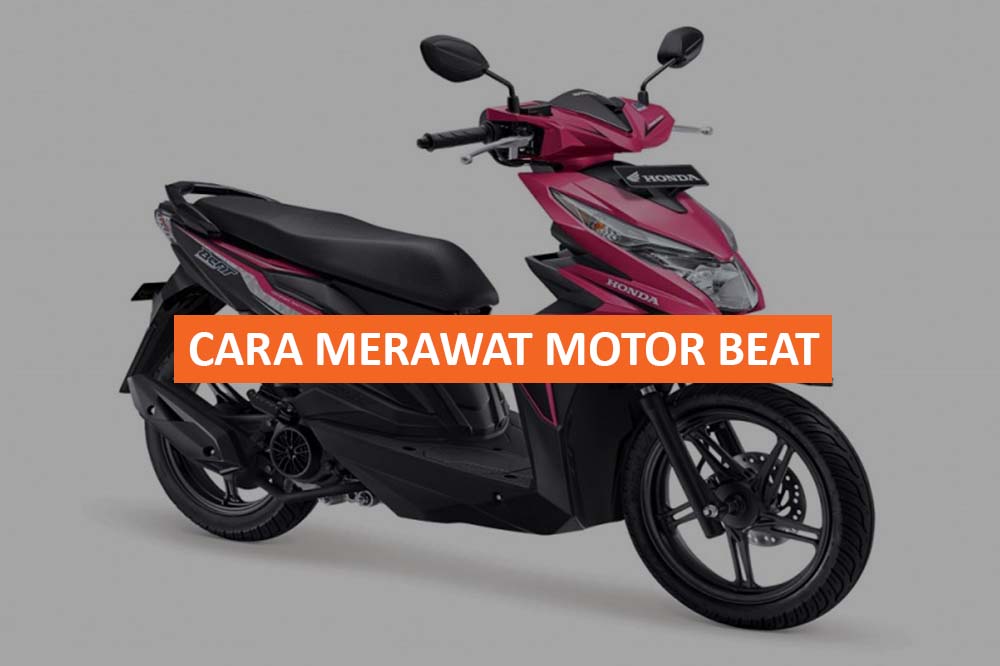 CARA MERAWAT MOTOR BEAT