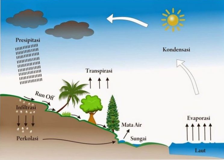 Fungsi Siklus Hidrologi