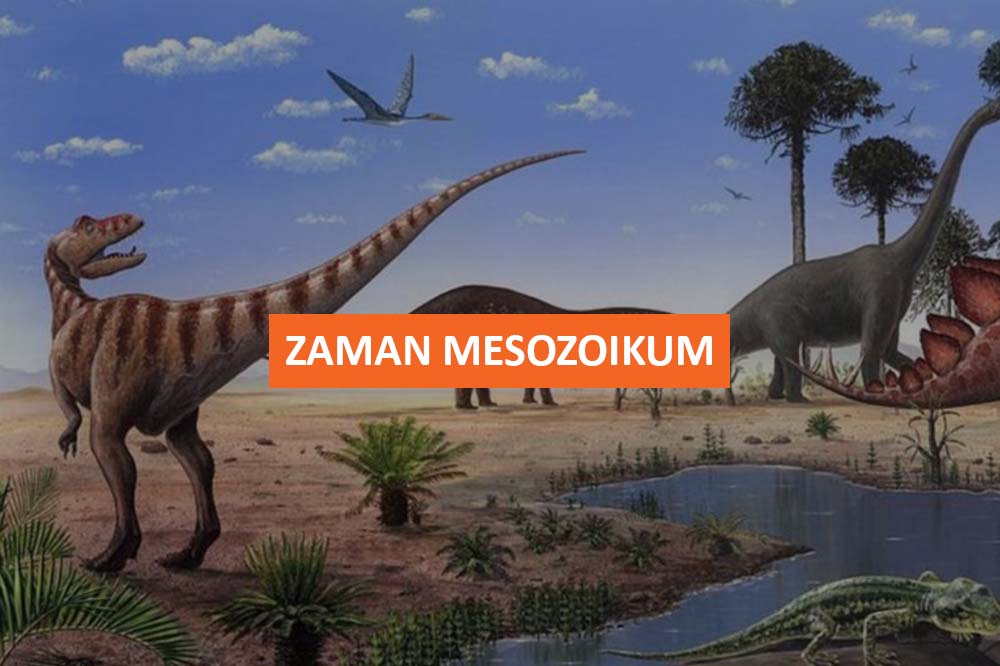 ZAMAN MESOZOIKUM