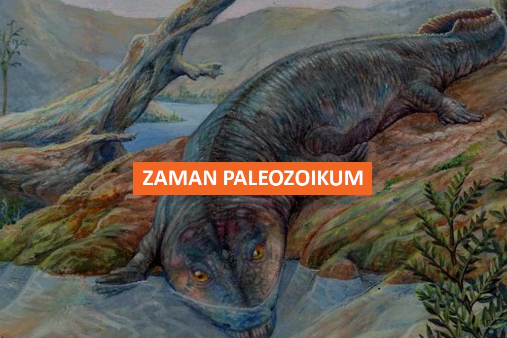 ZAMAN PALEOZOIKUM