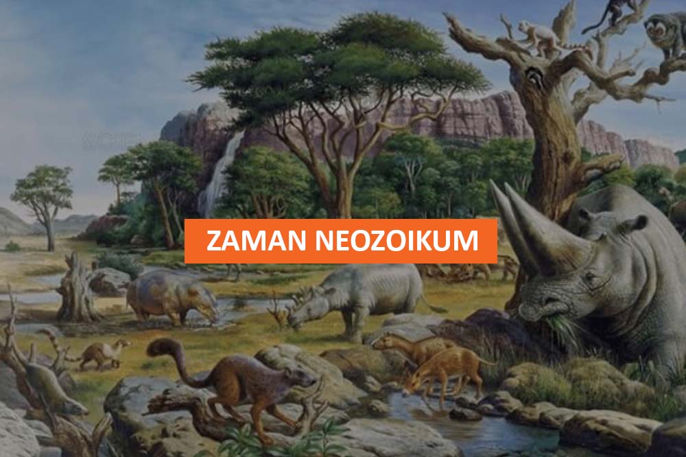 Zaman Neozoikum